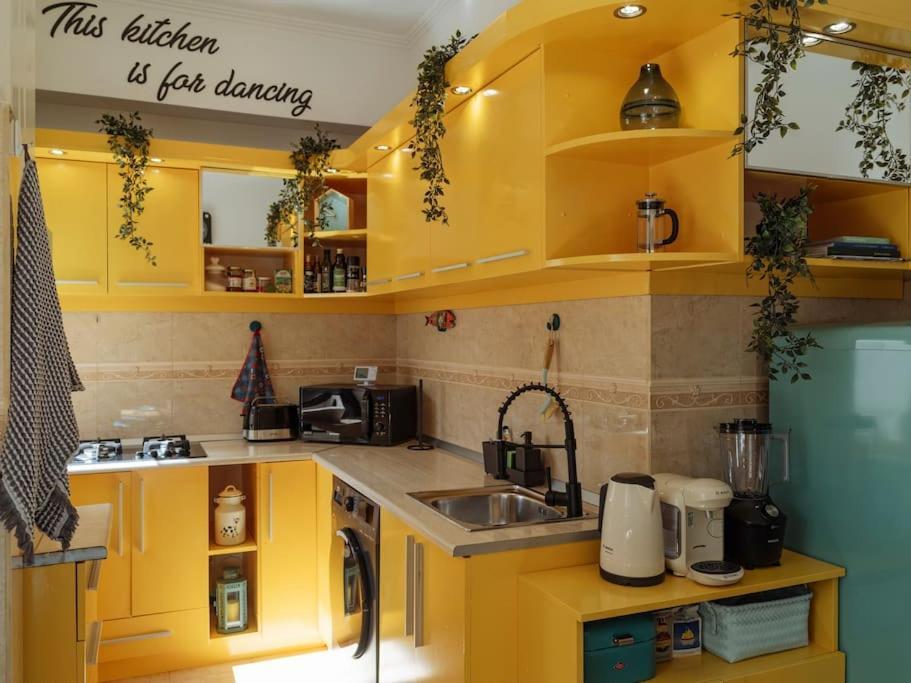 Terrasse Des Plongeurs Apartment Bucharest Exterior photo